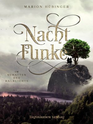 cover image of Nachtfunke 2